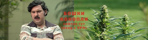 шишки Богородицк